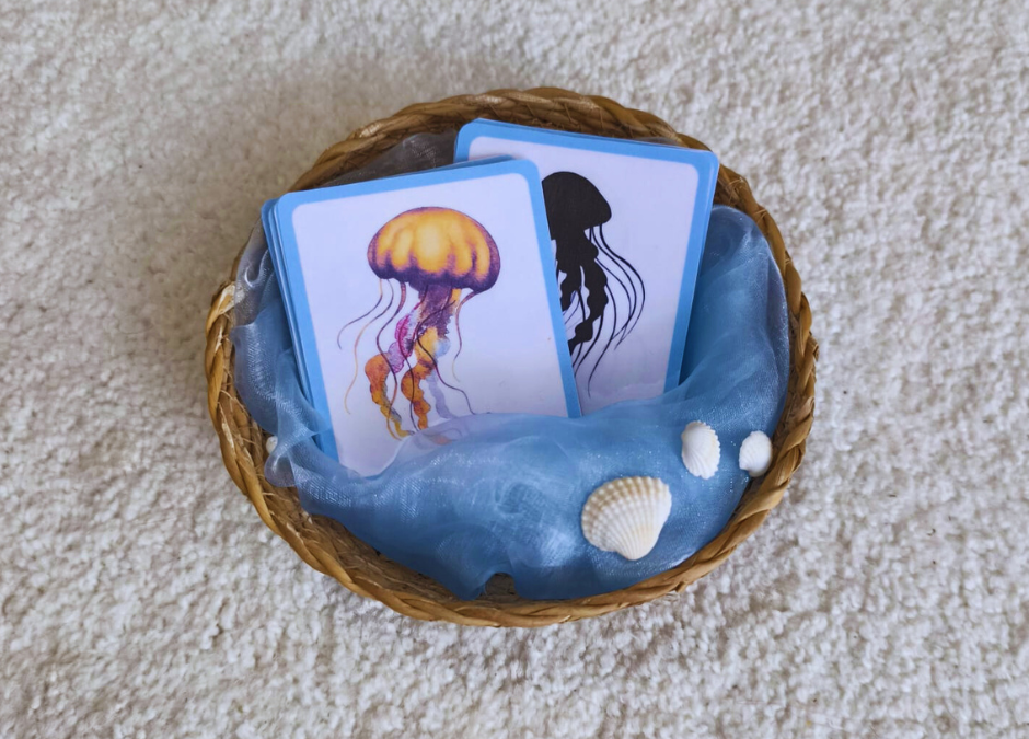 Kartice za vježbu tišine: Meduze (BESPLATNO)