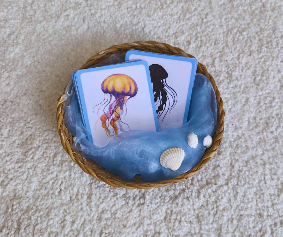 Meduze: Kartice za vježbu tišine