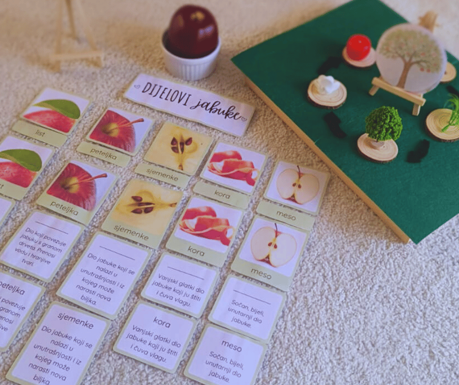 Montessori kartice<br />
Dijelovi jabuke