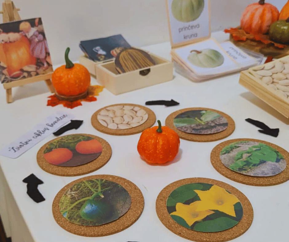 Paket Montessori kartica: Bundeve