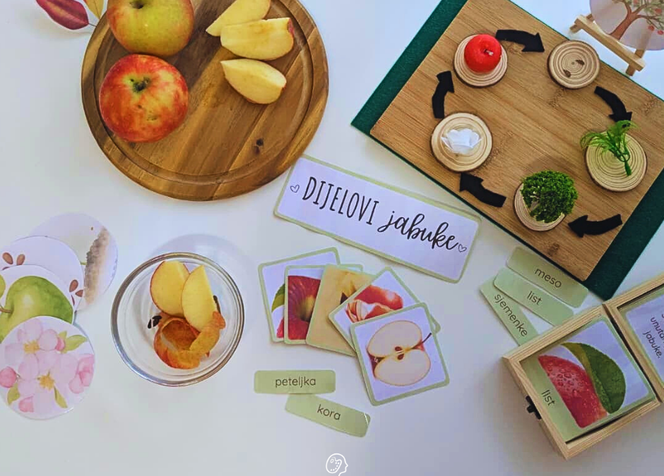 Montessori kartice: Dijelovi jabuke