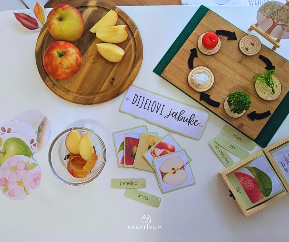 Montessori kartice<br />
Dijelovi jabuke