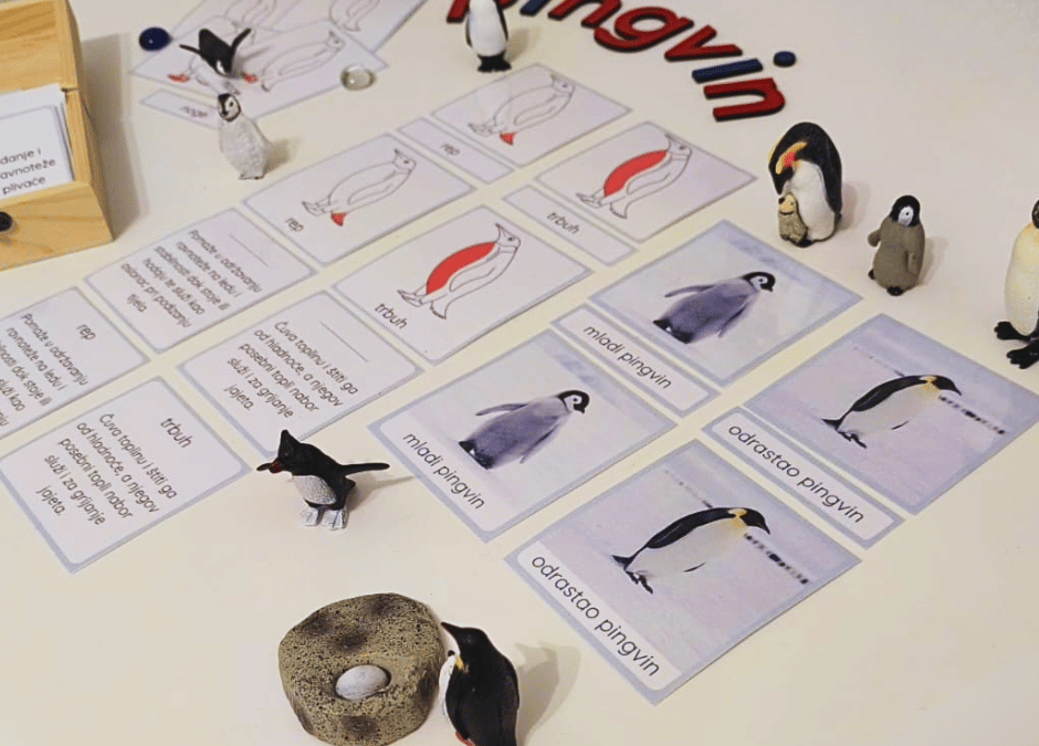 Svijet pingvina: Montessori trodijelne kartice