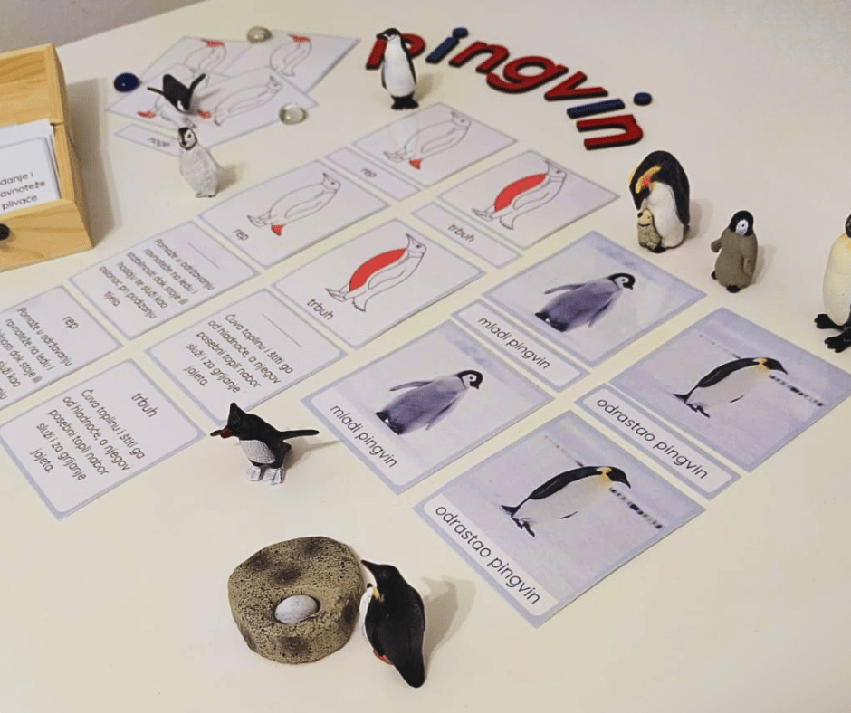 Pingvini: Montessori trodijelne kartice