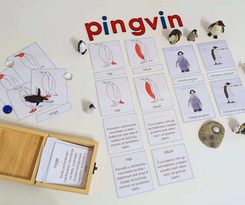 Svijet pingvina: Montessori trodijelne kartice