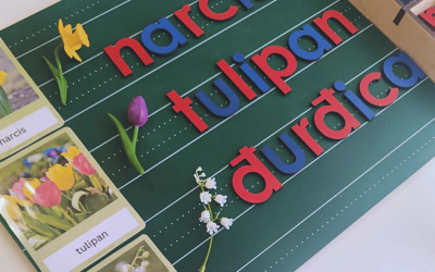 Proljetnice: Montessori put do trajnog znanja