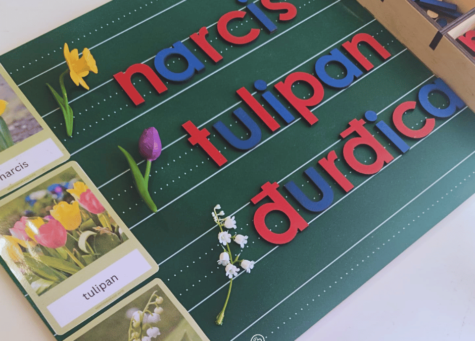 Proljetnice: Montessori put do trajnog znanja