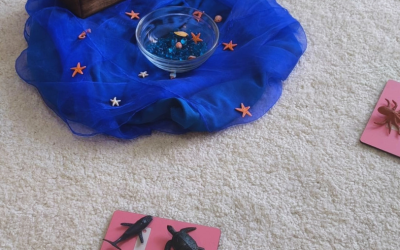 blog 7 Obrt Kreativum Darja Savković Montessori vježbe tišine: Aktivnosti za različita godišnja doba