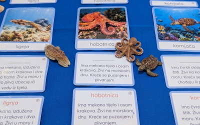 Morske životinje:  Montessori trodijelne kartice